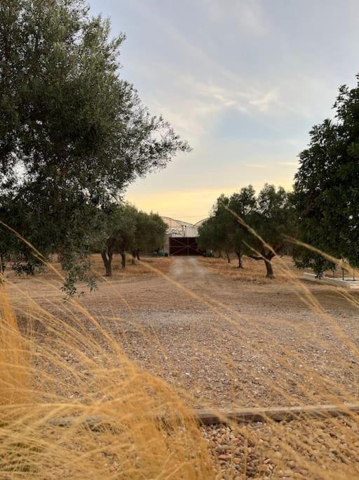 Quinta Da Alfarrobeira Peaceful Countryside Stay Faro Exterior photo