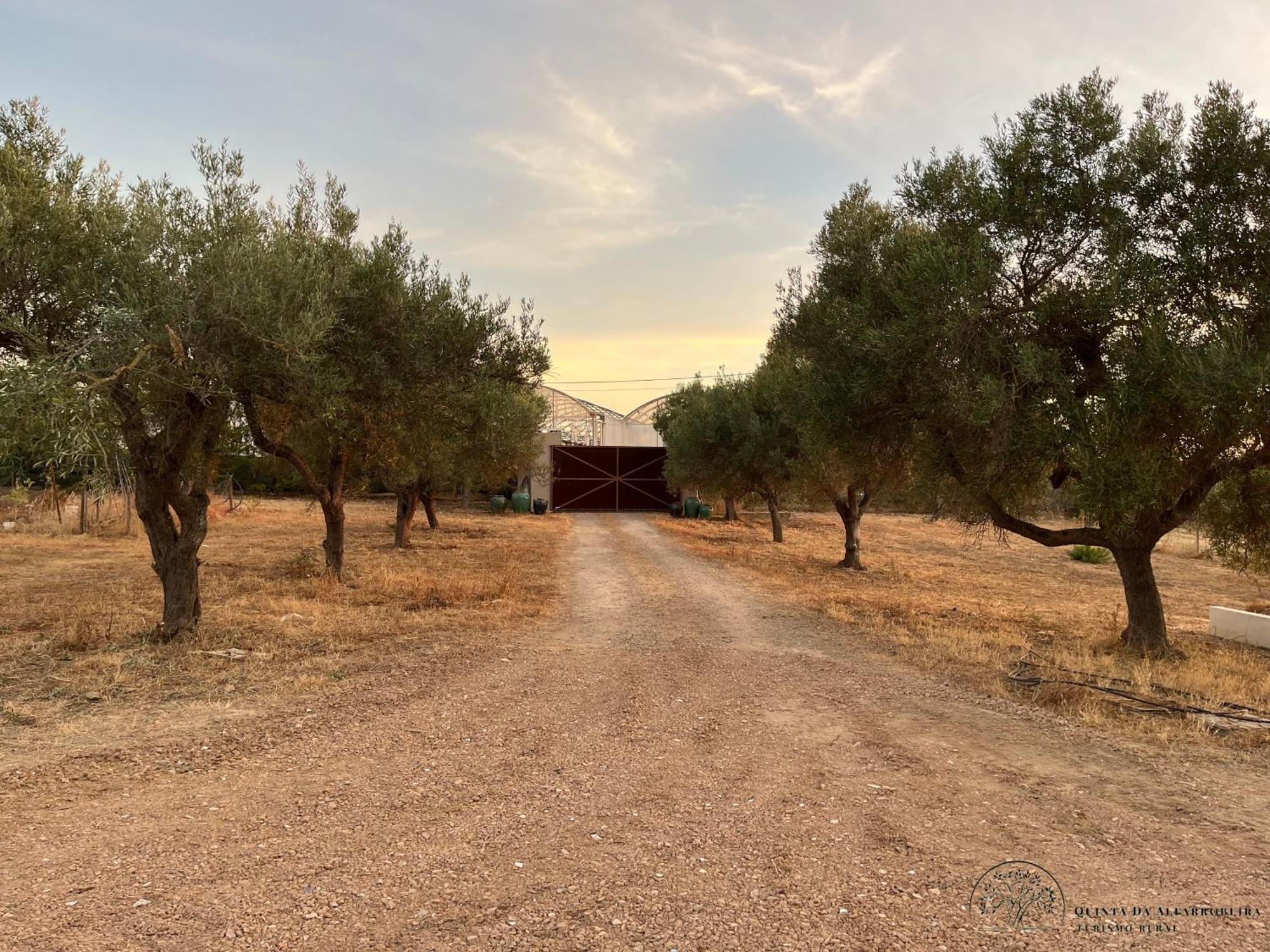 Quinta Da Alfarrobeira Peaceful Countryside Stay Faro Exterior photo